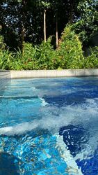 Leedon Green (D10), Condominium #575724141